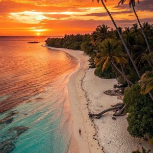 Sunset - Image 2