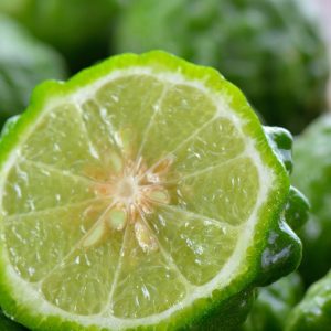 Italian Bergamot - Image 2