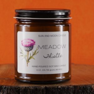 Meadow Thistle
